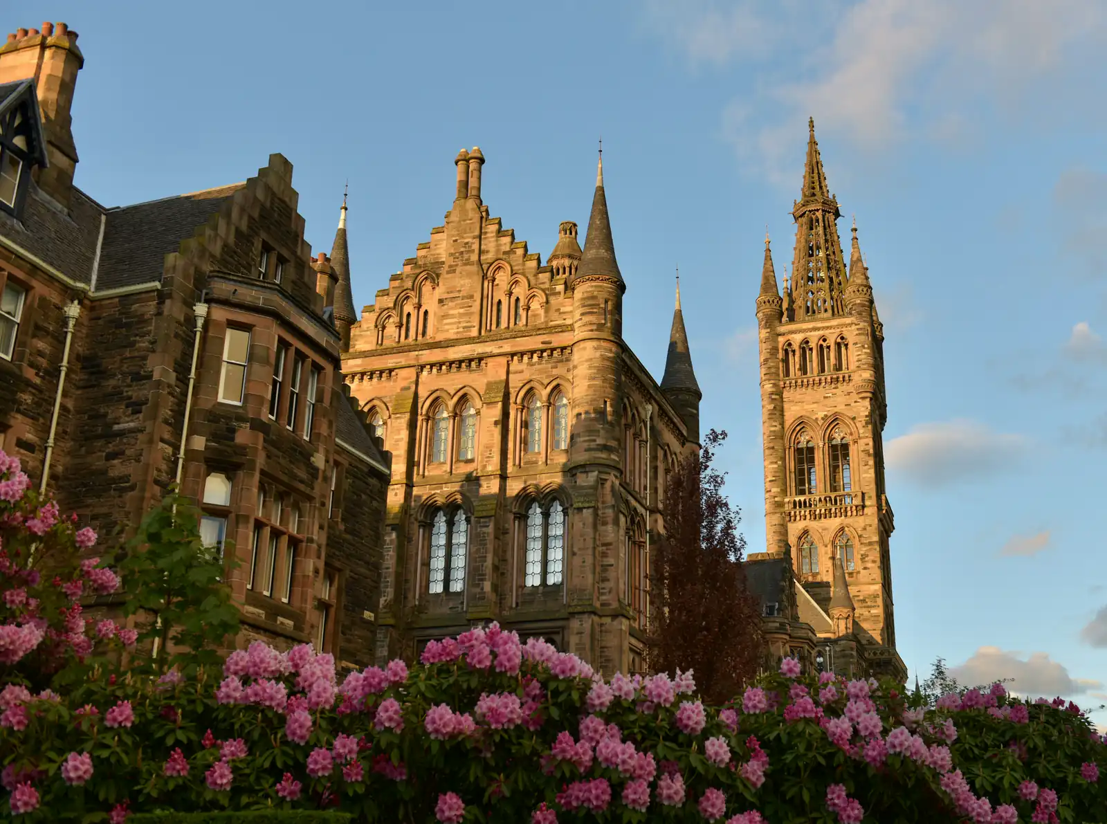 The University of Glasgow's Gothic main building and tower on Gilmorehill, framed by rhododendrons